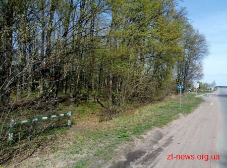 Територію для будівництва Північного обходу очищають від дерев