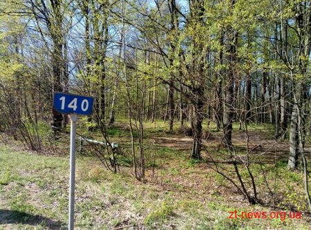 Територію для будівництва Північного обходу очищають від дерев