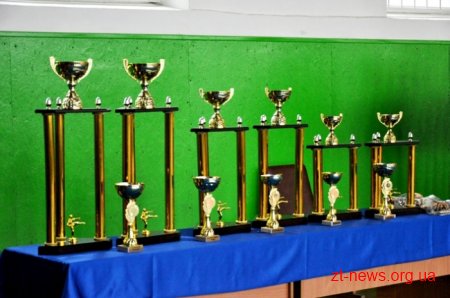 У Житомирі проходить всеукраїнський турнір з рукопашного бою