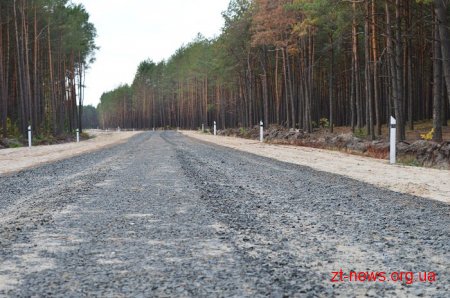 Депутати облради хочуть створити на безхазяйних лісових ділянках комунальні лісогосподарські підприємства