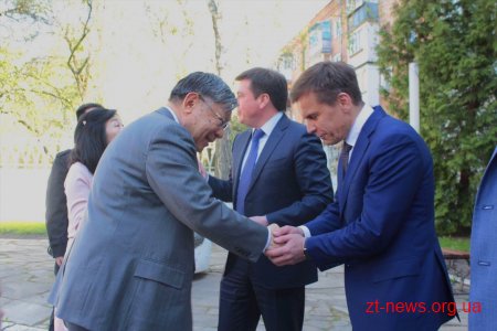 Нові екзотичні дерева з’явились на вулиці Михайлівській у Житомирі