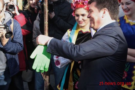 Нові екзотичні дерева з’явились на вулиці Михайлівській у Житомирі