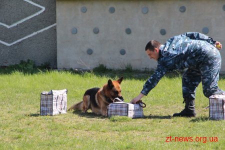 У Житомирі для школярів влаштували день знайомства з поліцією