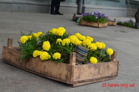 Працівники КП «Зеленбуд» розпочали прикрашати вулицю Михайлівську квітами