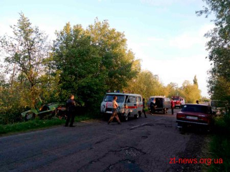 На Житомирщині з дороги злетів Ваз
