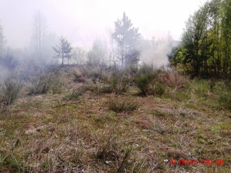 За добу вогнеборцями області ліквідовано загоряння сухої трави та осередку торфу