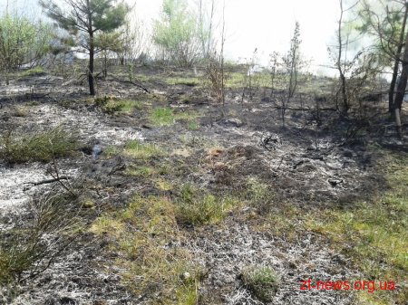 За добу вогнеборцями області ліквідовано загоряння сухої трави та осередку торфу