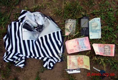 На Житомирщині жінка несподівано повернувшись додому застала у своєму будинку крадіїв