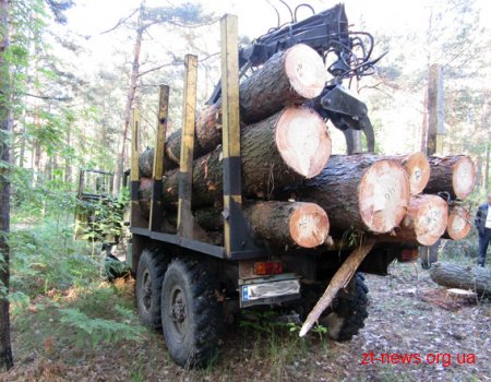 На Житомирщині затримали чергових лісокрадіїв