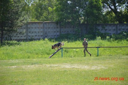 Житомирські кінологи запросили до себе в гості дітей