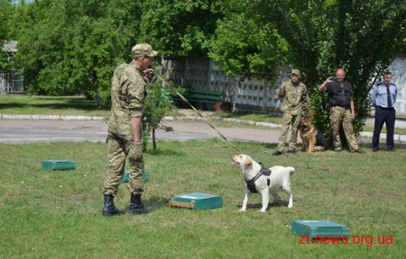 Житомирські кінологи запросили до себе в гості дітей