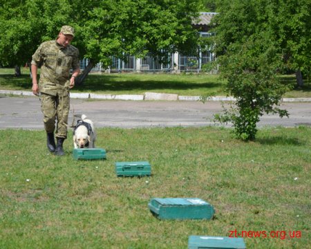 Житомирські кінологи запросили до себе в гості дітей