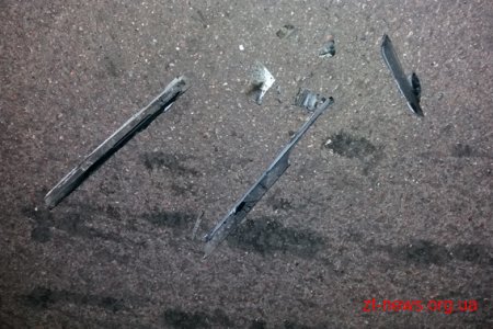 У Коростені водій насмерть збив батька з дитиною