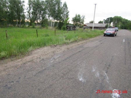 На Житомирщині перекинувся мікроавтобус: 3 людей в лікарні