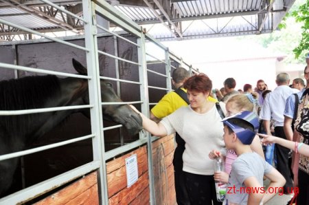 32 підприємства Житомирщини представляють свою продукцію на виставці «Агро-2017»