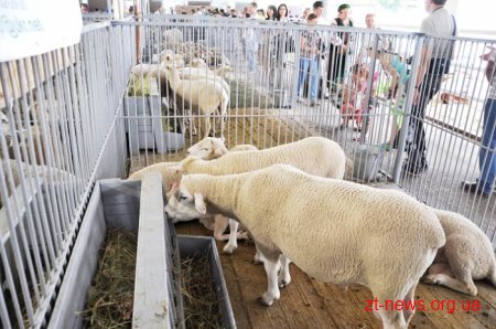 32 підприємства Житомирщини представляють свою продукцію на виставці «Агро-2017»