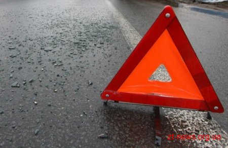 На Коростенщині під колеса сміттєвоза потрапило двоє людей