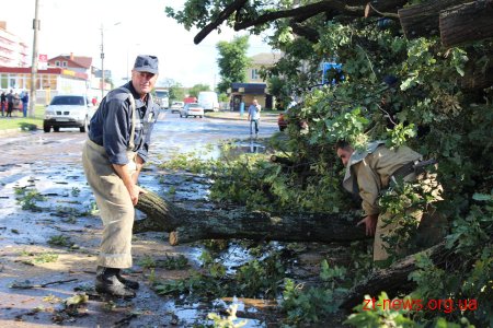 В Олевську негода повалила дерево на житловий будинок