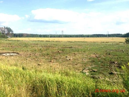 Лісівники виконали розчищення території для Північного обходу