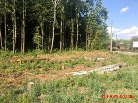 Лісівники виконали розчищення території для Північного обходу