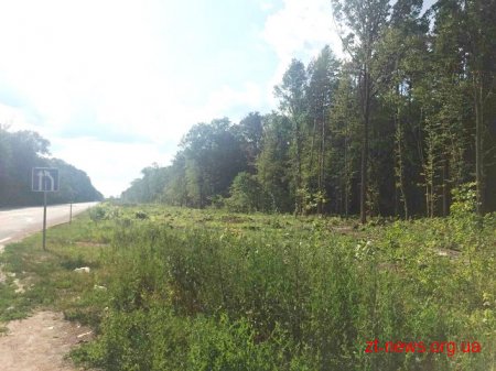 Лісівники виконали розчищення території для Північного обходу