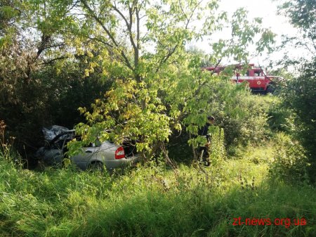 На Житомирщині внаслідок ДТП загорівся автомобіль
