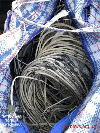 Патрульні затримали двох чоловіків, які викопували телефонні кабелі