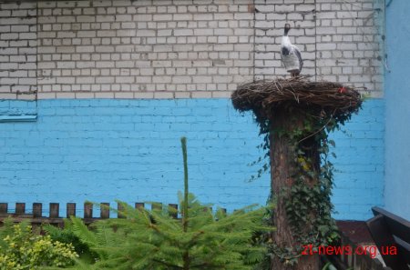 Мешканці будинку №103 по вулиці Шевченка відсвяткували 10-річчя з дня реєстрації свого ОСББ