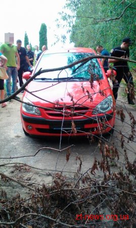 У Житомирі поліцейські розшукали викрадений «Хюндай»