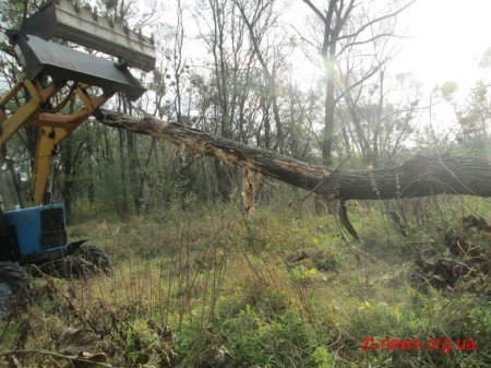 У Житомирі розпочали очищення річки Кам’янка