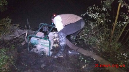 Лісівники повідомляють про активізацію бурштинокопачів на Олевщині