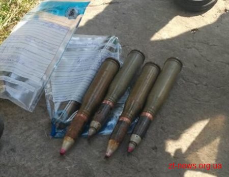 Під час обшуку в оселі житомирянина виявили снаряди, патрони та наркотики