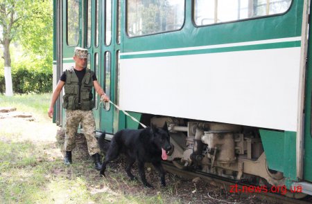 У Житомирі через кредитний борг працівниці невідомий погрожував підірвати підприємство