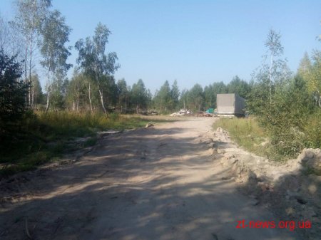 У Житомирському районі поліцейські виявили склад краденої деревини