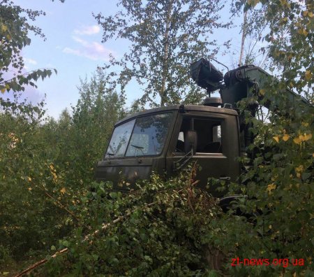 У Житомирському районі поліцейські виявили склад краденої деревини
