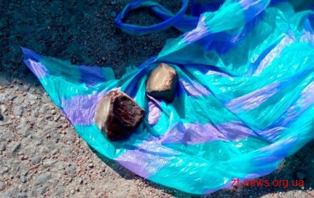 На Житомирщині затримали кримінального авторитета на прізвисько "Зурік"