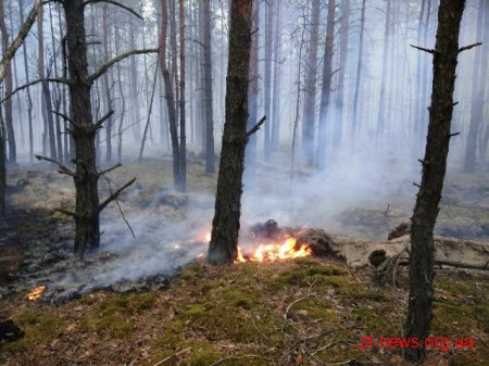 На Житомирщині триває ліквідація лісової пожежі у Поліському природному заповіднику