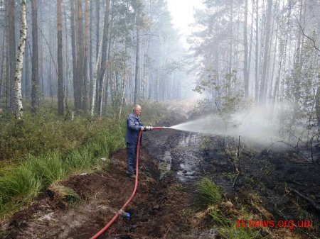 На Житомирщині триває ліквідація лісової пожежі у Поліському природному заповіднику