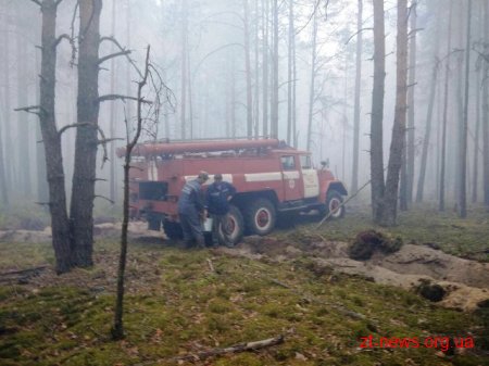 На Житомирщині триває ліквідація лісової пожежі у Поліському природному заповіднику