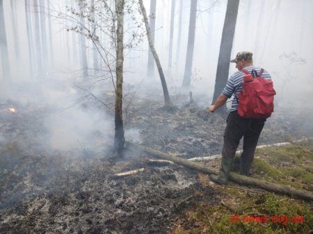 Пожежу у Поліському природному заповіднику локалізовано