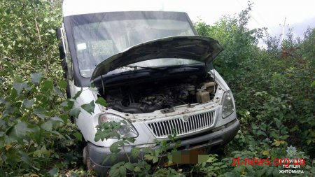 Поблизу Житомира маршрутка вилетіла у кювет
