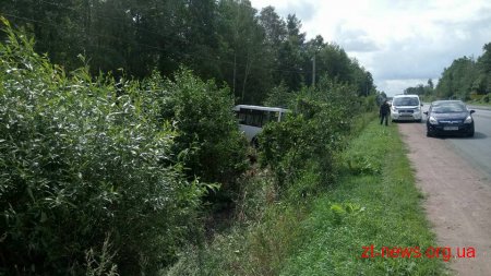 Поблизу Житомира маршрутка вилетіла у кювет