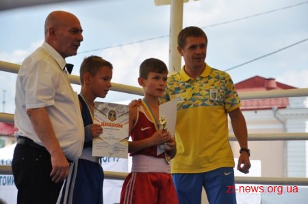 У Житомирі пройшла матчева зустріч з боксу між командами міст Житомира та Миколаєва