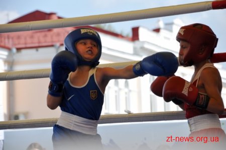 У Житомирі пройшла матчева зустріч з боксу між командами міст Житомира та Миколаєва
