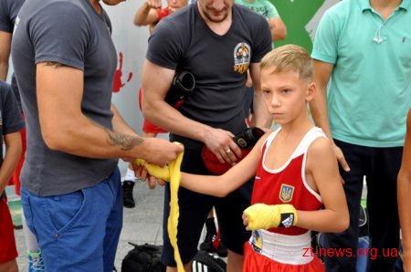 У Житомирі пройшла матчева зустріч з боксу між командами міст Житомира та Миколаєва