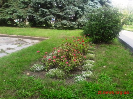 У Житомирі визначають переможців конкурсу «Моє квітуче місто»
