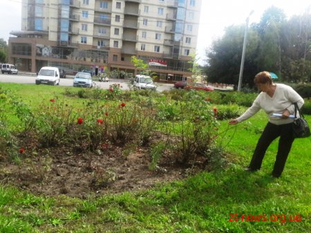 У Житомирі визначають переможців конкурсу «Моє квітуче місто»