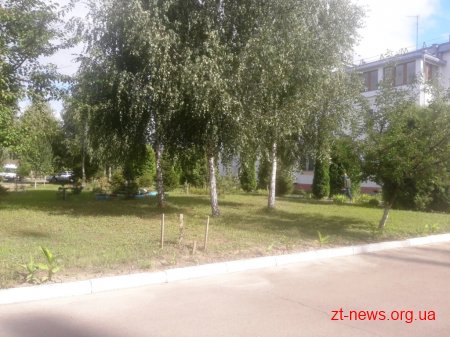 У Житомирі визначають переможців конкурсу «Моє квітуче місто»