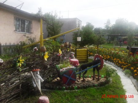 У Житомирі визначають переможців конкурсу «Моє квітуче місто»