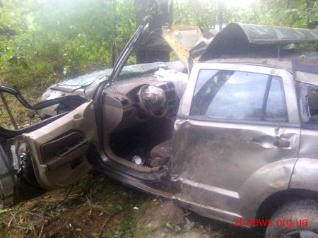 На Житомирщині позашляховик врізався в дерево